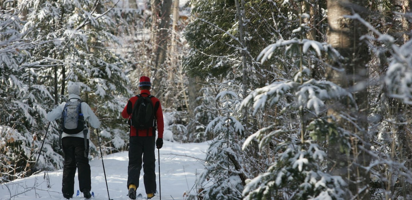 Cross Country Skiing in Malmedy: find the best trails